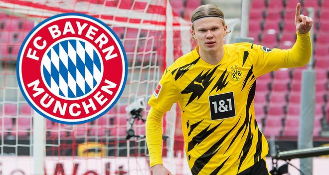 条的两现 条的两现